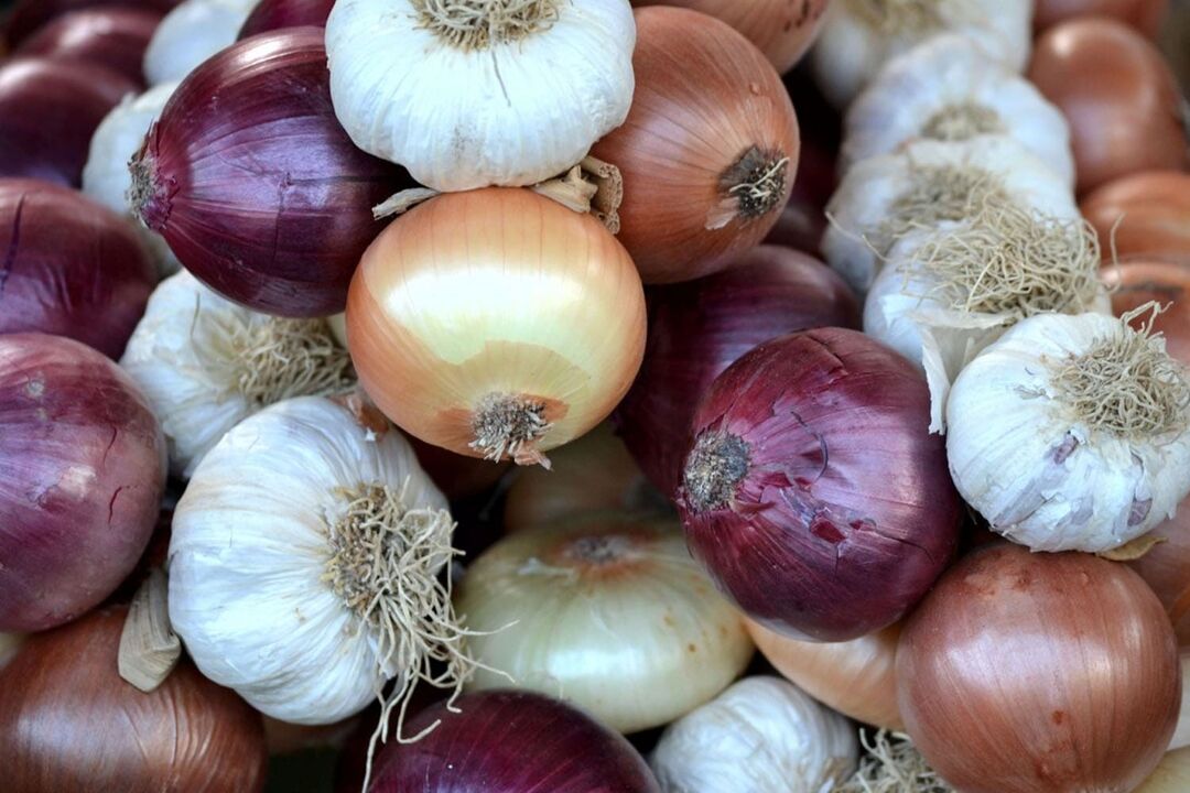 garlic and onion to eliminate worms
